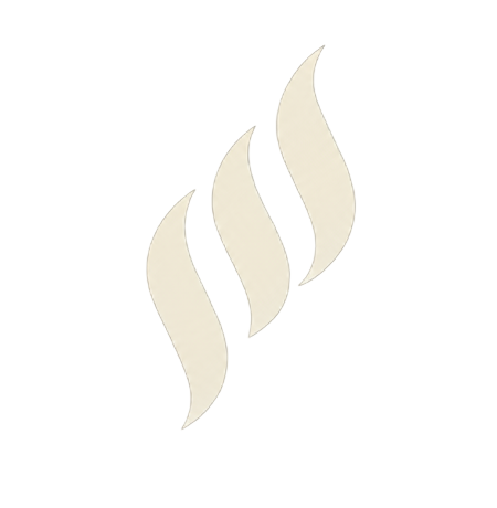 Seen Logo